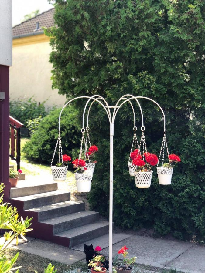 Major család apartman Hévíz Kültér fotó